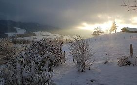 Urlaub In Alberschwende